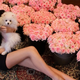Illustration for article titled Russian Women With Shitloads of Flowers Is the Best Instagram Trend